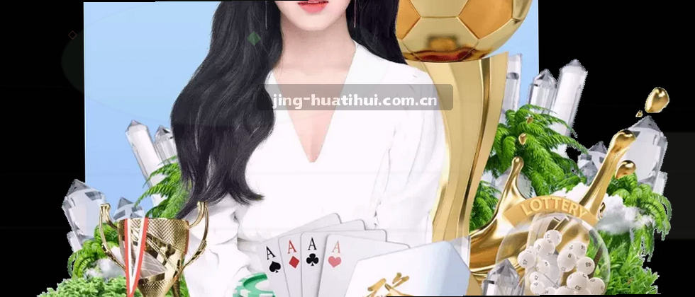 隐私保护与数据使用说明